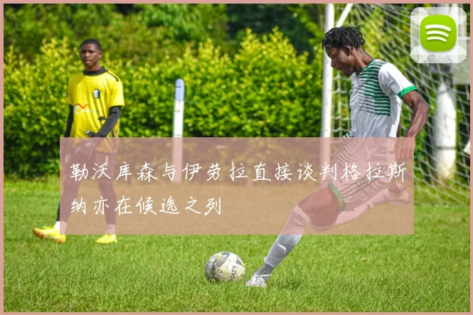 勒沃库森与伊劳拉直接谈判格拉斯纳亦在候选之列